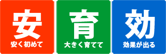安く初めて大きく育て、そして効果を出す